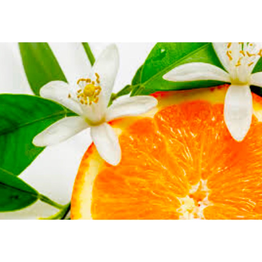 Meet your Posher, Jean